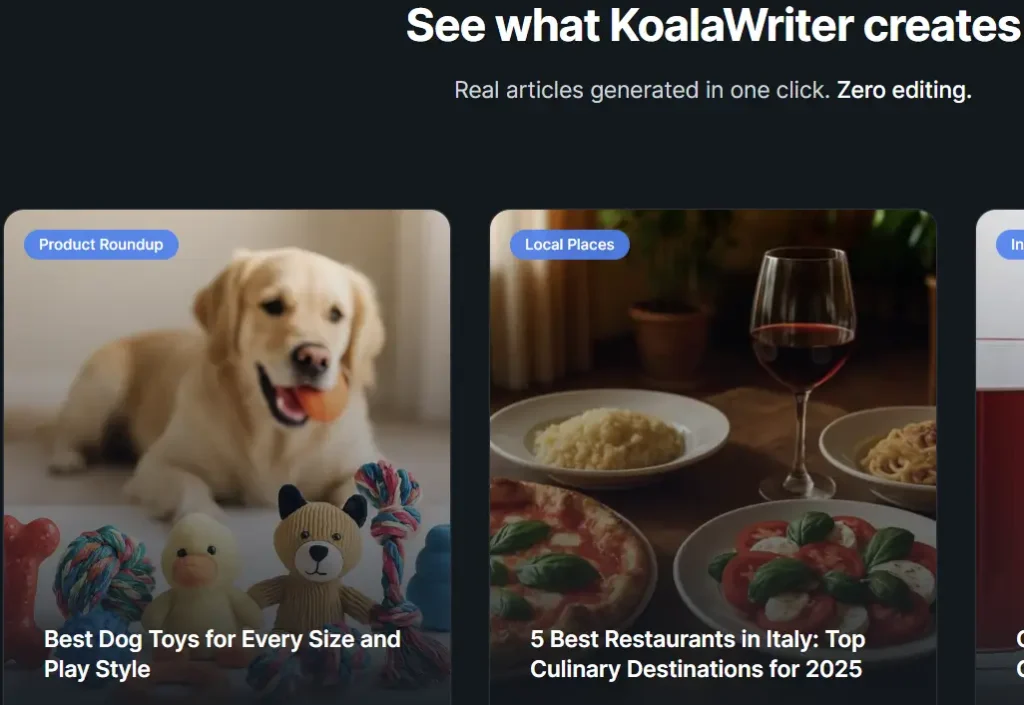 KoalaWriter Review dashboard interface
